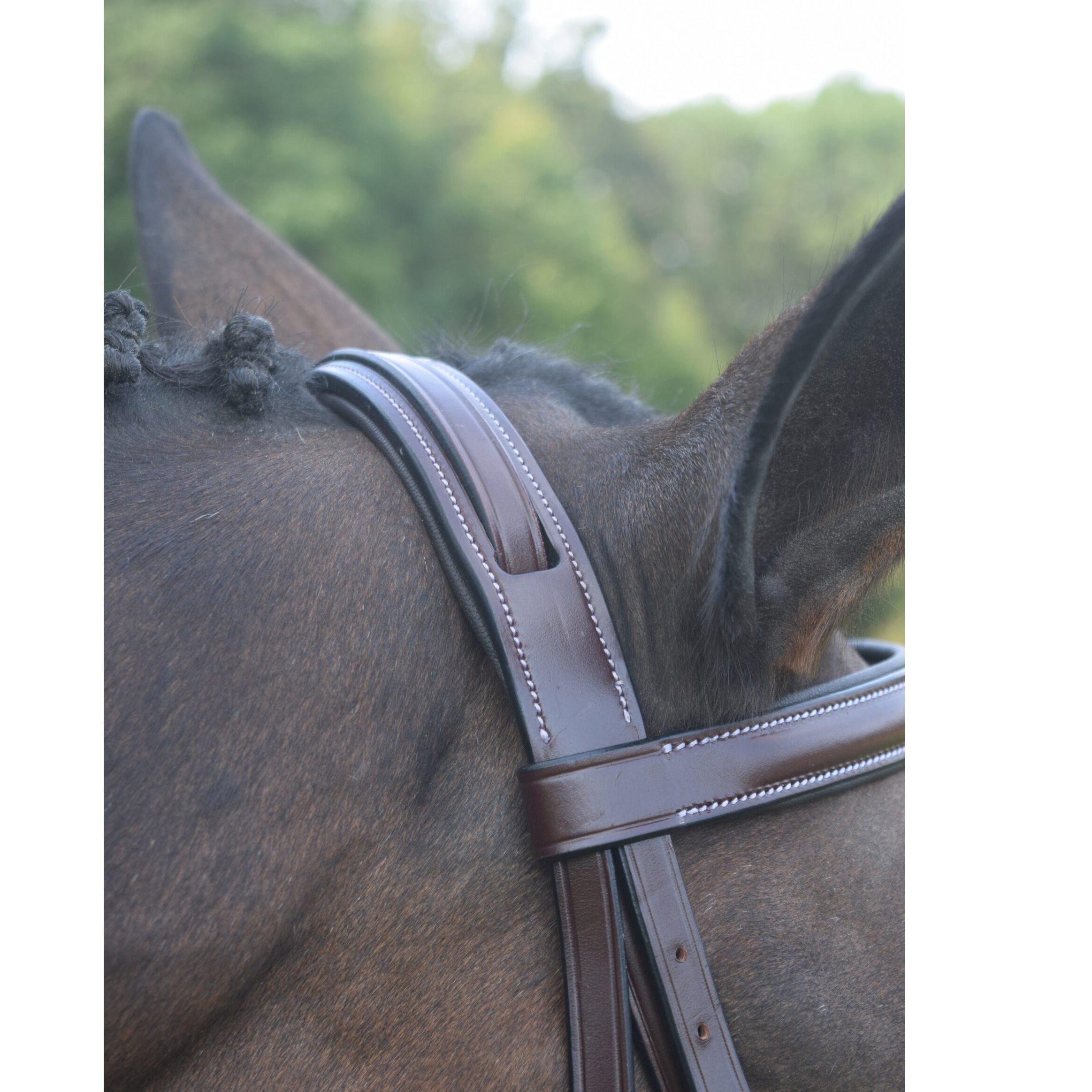 Red Barn Spirit Wide Nose Bridle