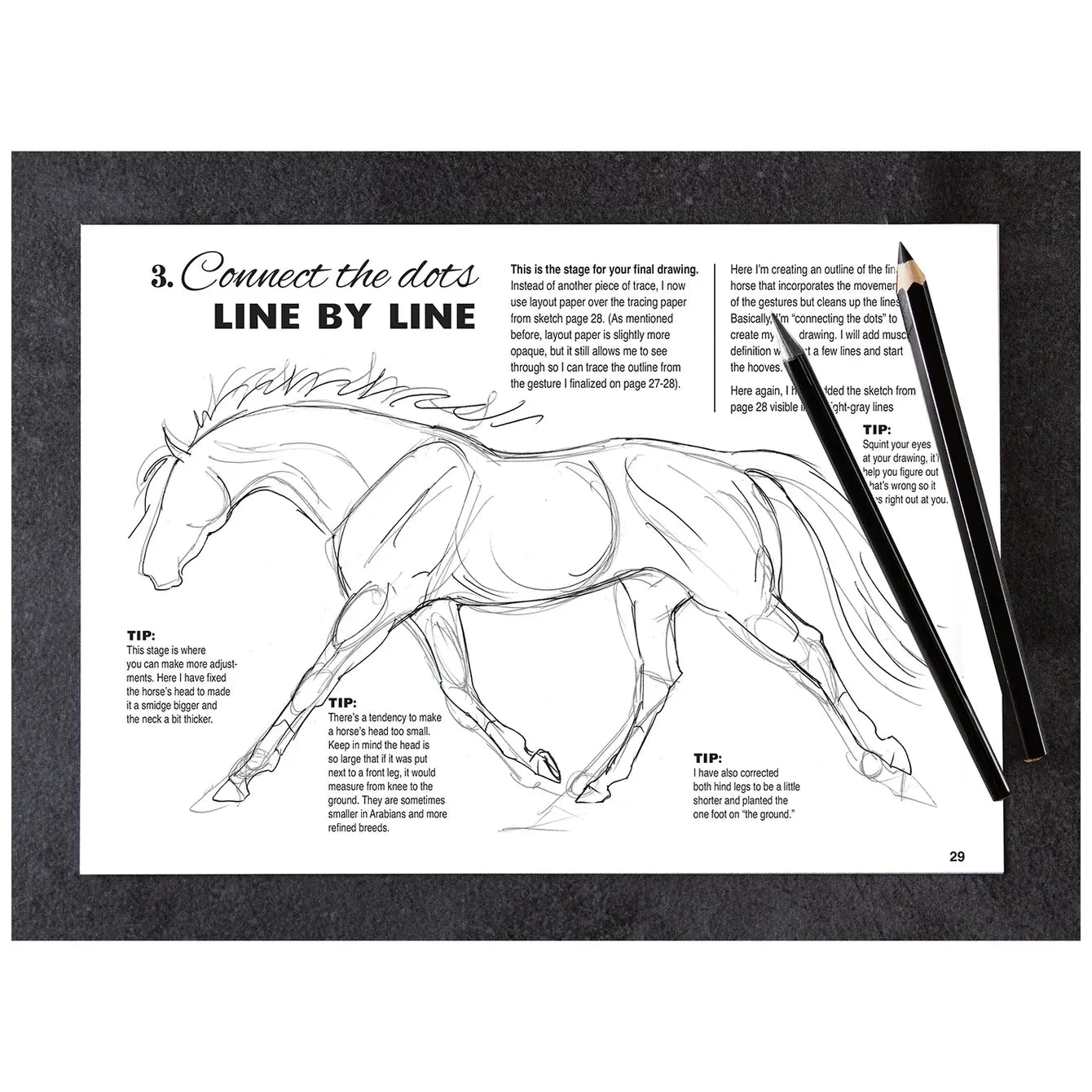 Anyone Can Draw Horses