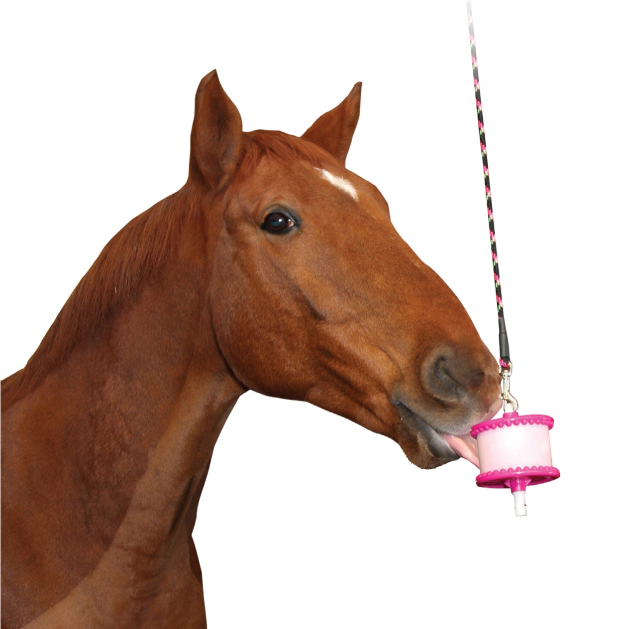 Likit Granola Starter Kit for Horses