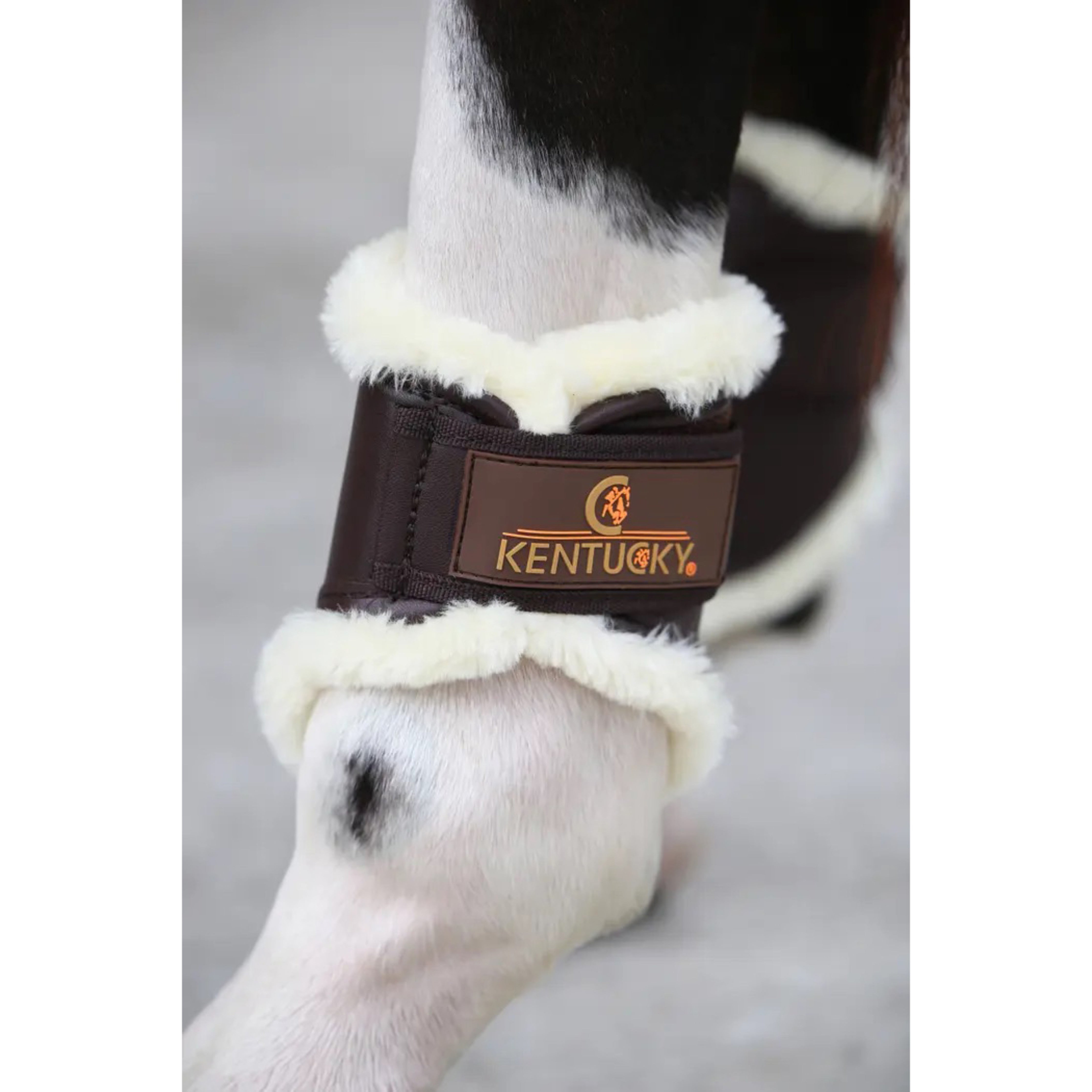 Kentucky Turnout Boots Ankle (short)