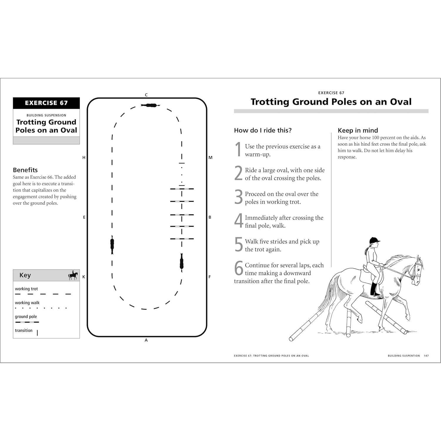 101 Dressage Excercises