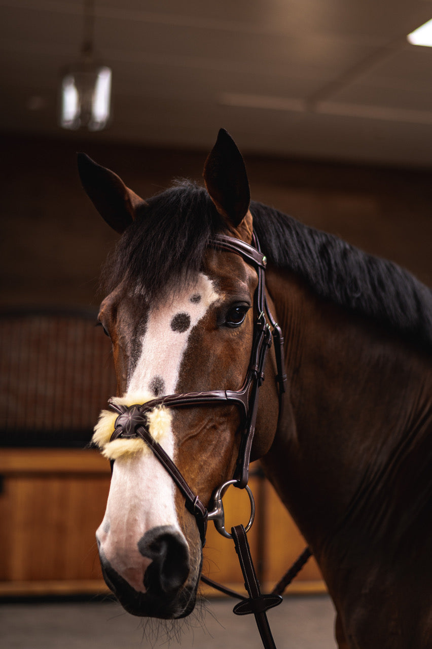 BUTET Sport Figure-8 Bridle