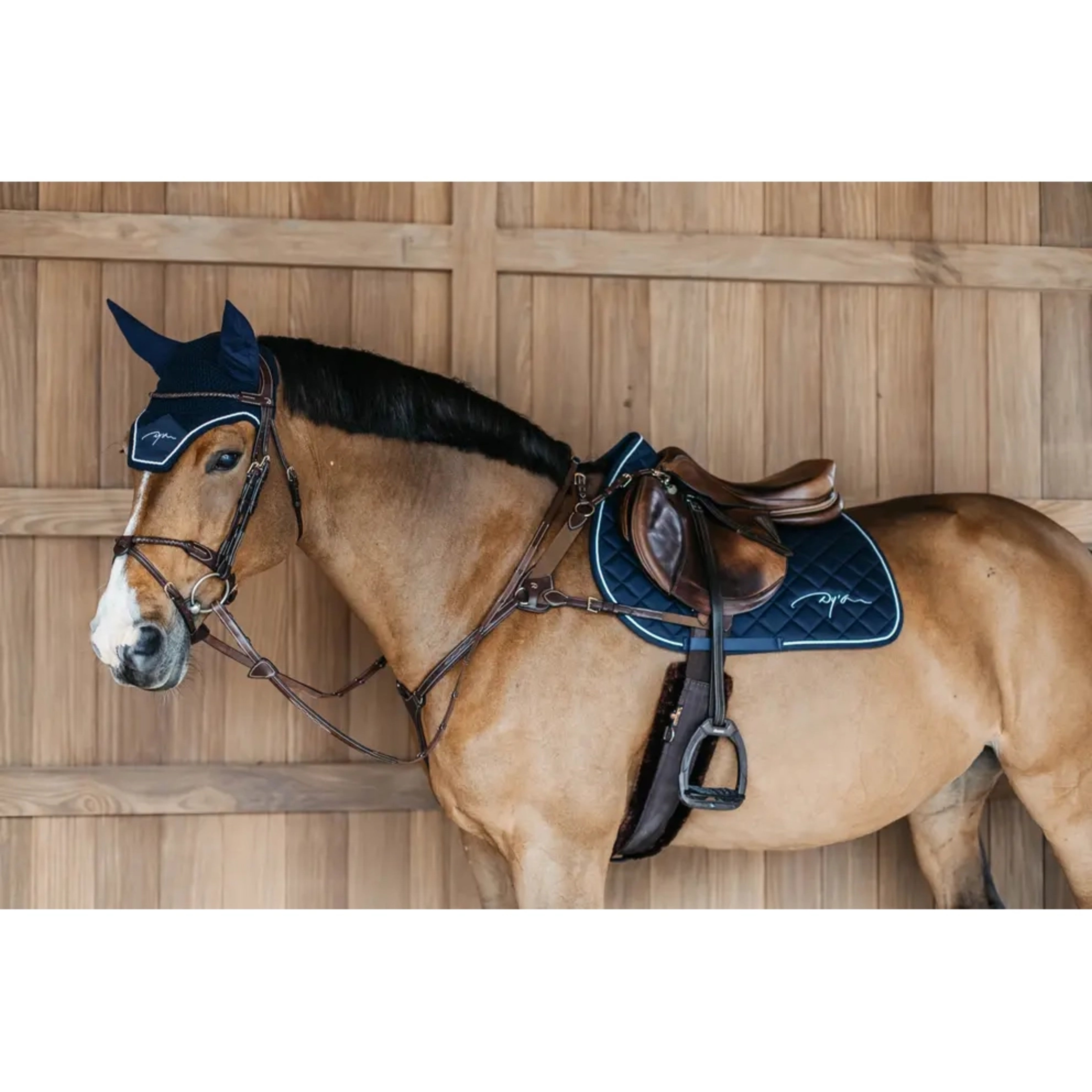 Dyon 5-Point Breastplate w/Elastic