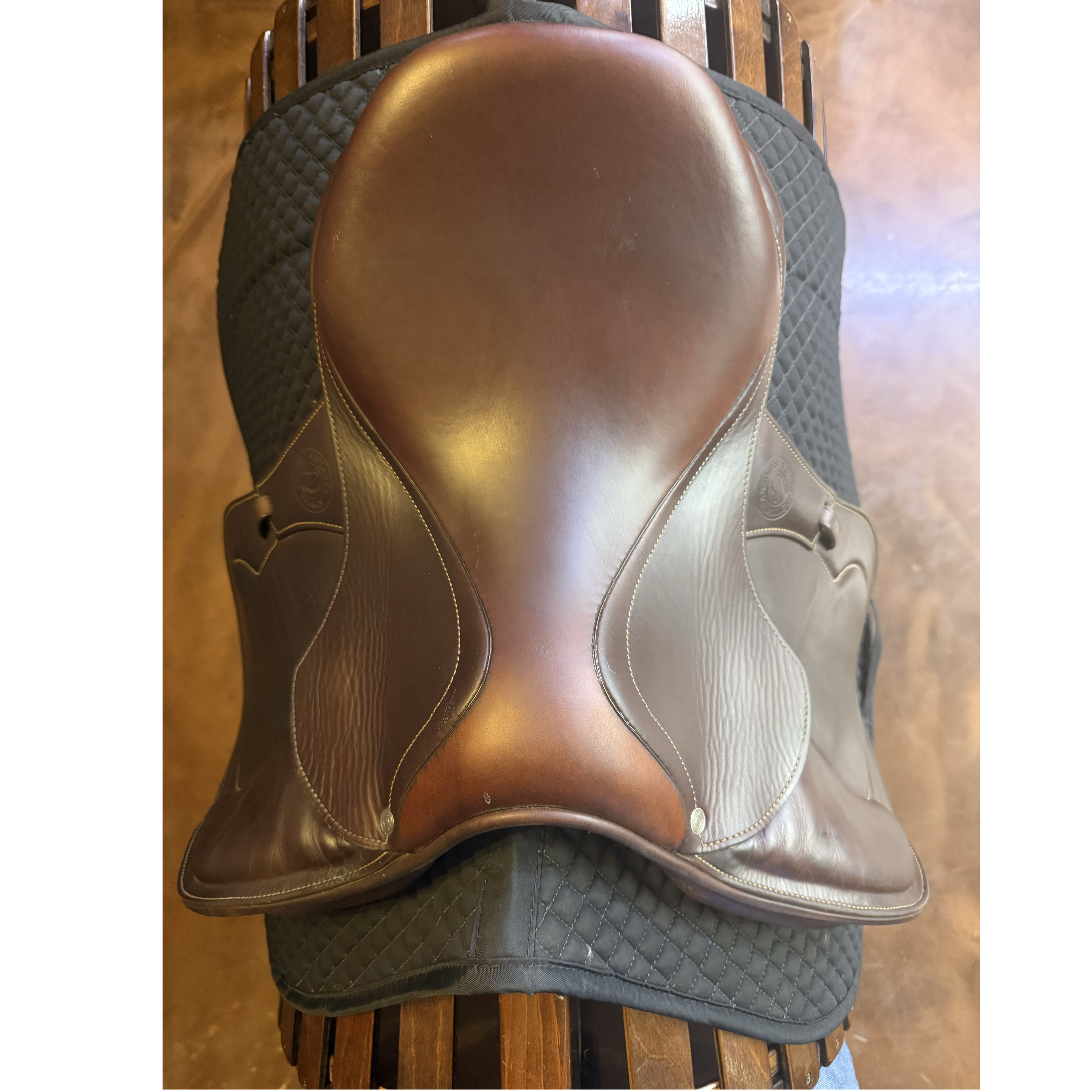 Antares Saddle 15.5" XXS