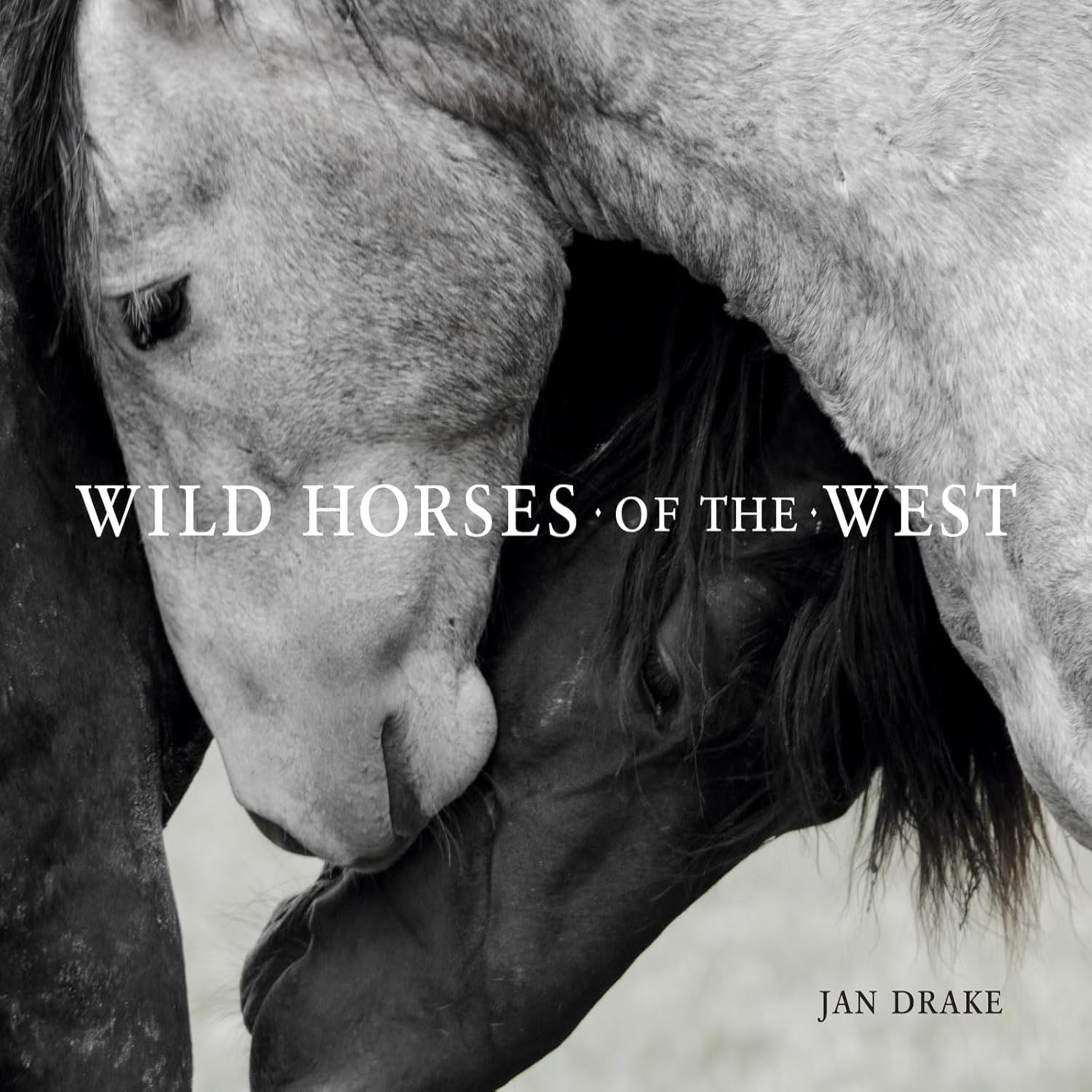 Wild Horses of the West; by Jan Drake