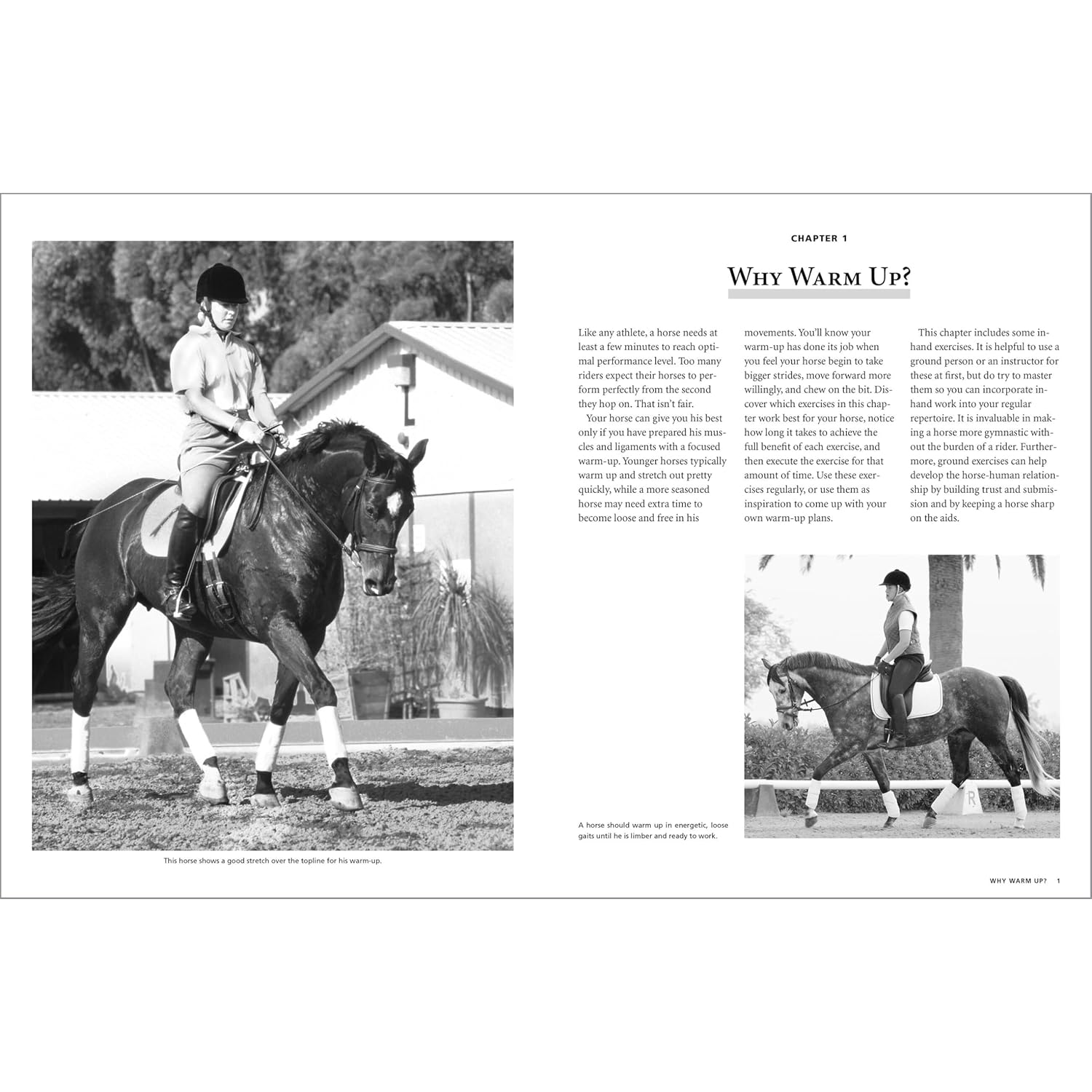 101 Dressage Excercises