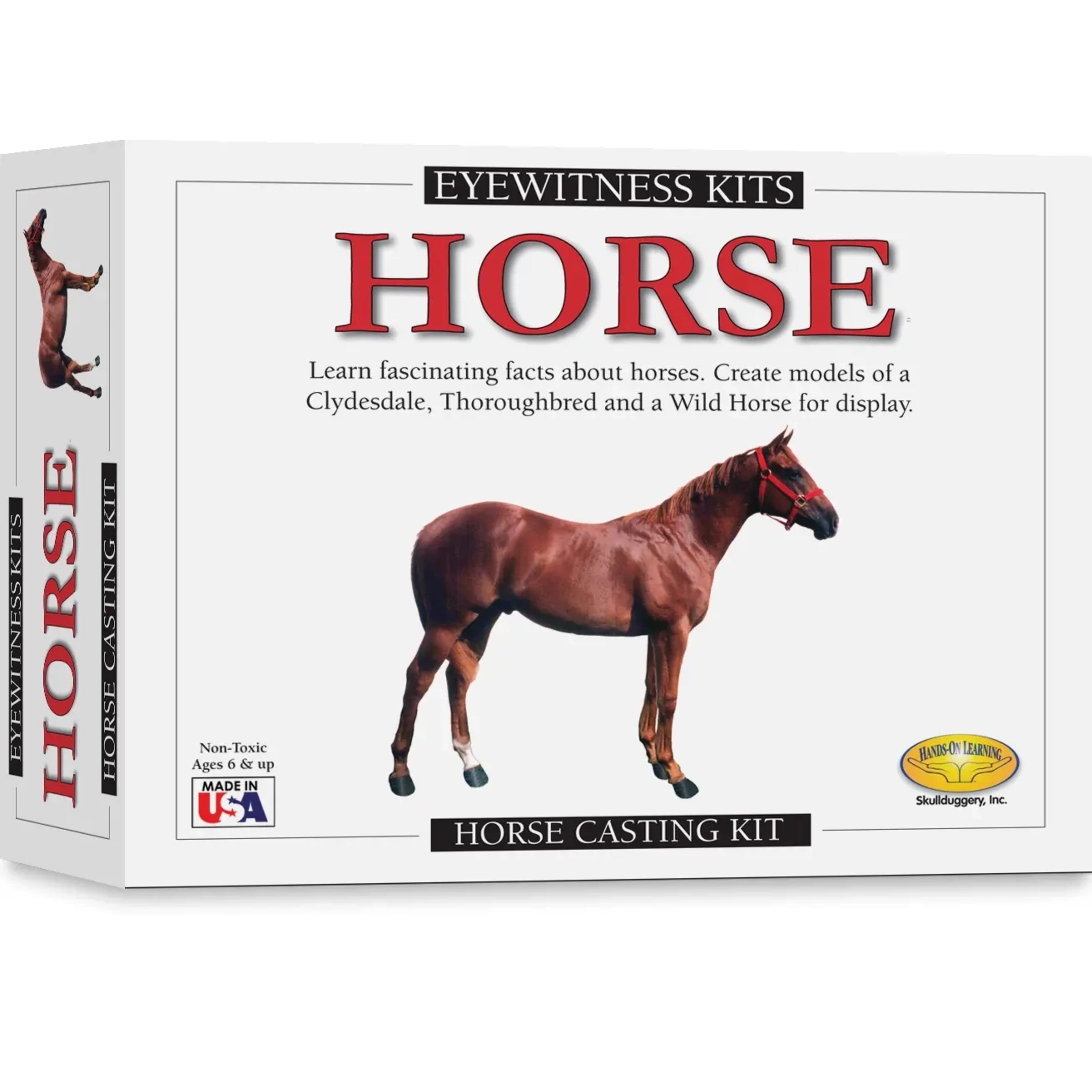 Eyewitness Creativity & Discovery Kits - Horse