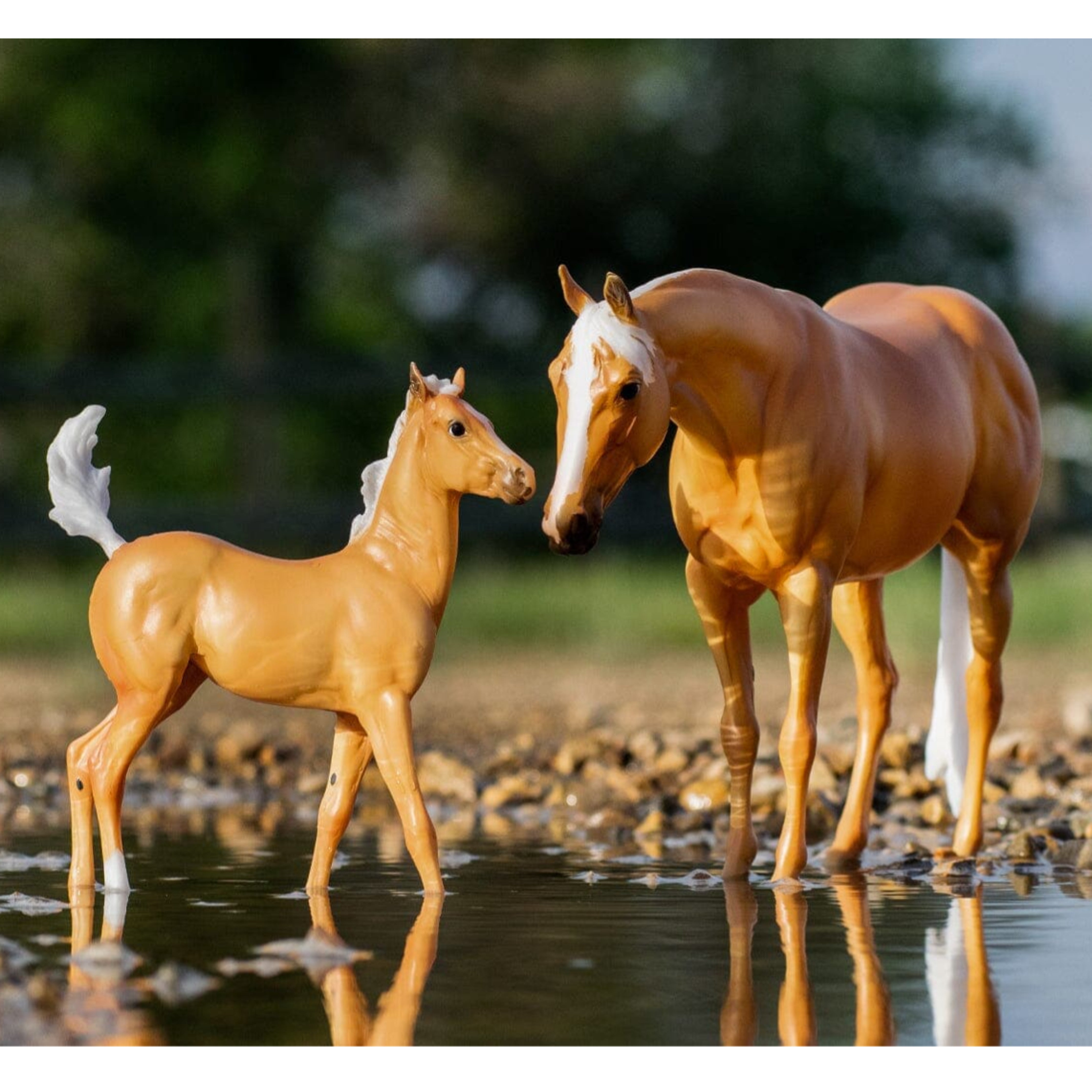 Breyer Ebony Shines and Charlize