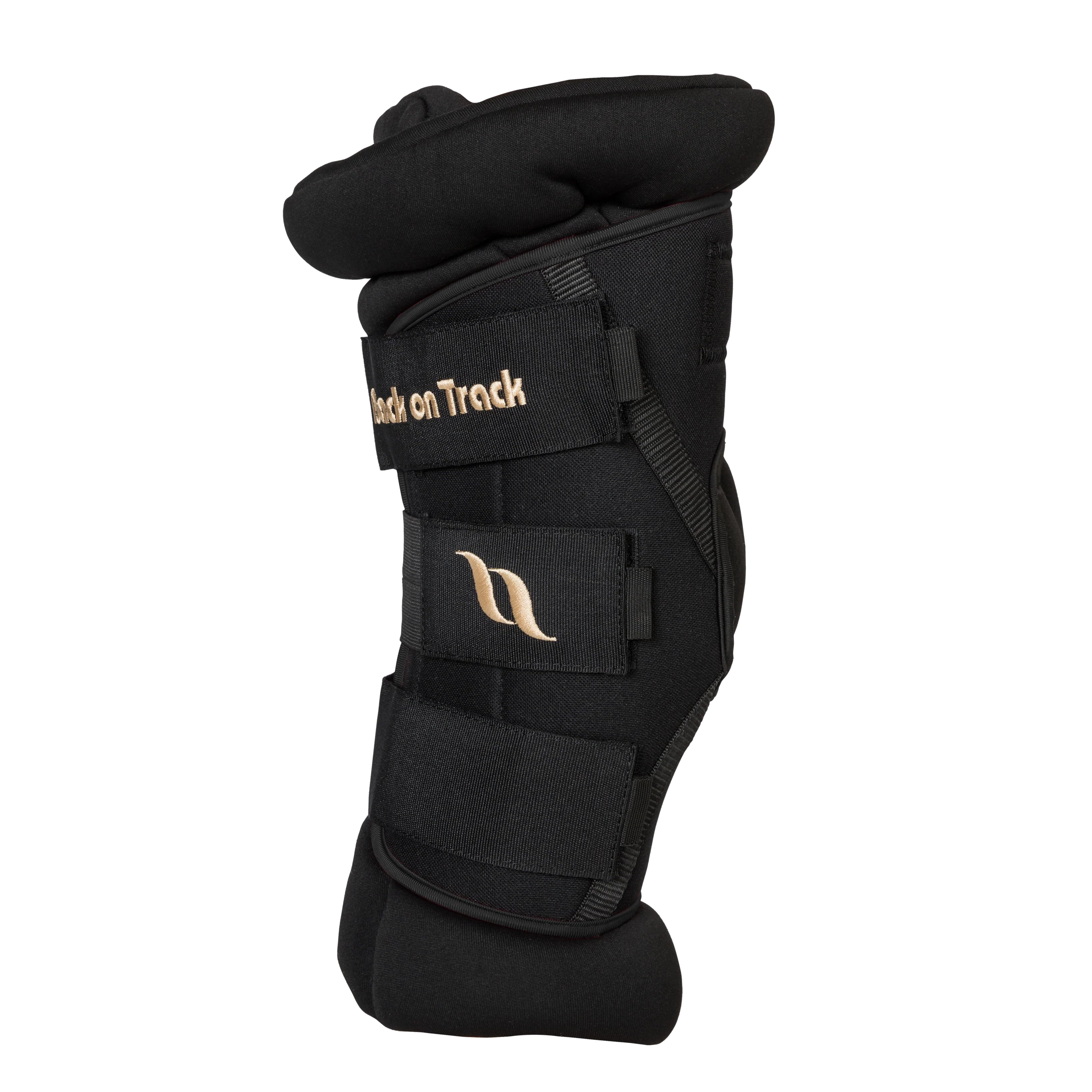 Back On Track Padded Royal Hock Boots