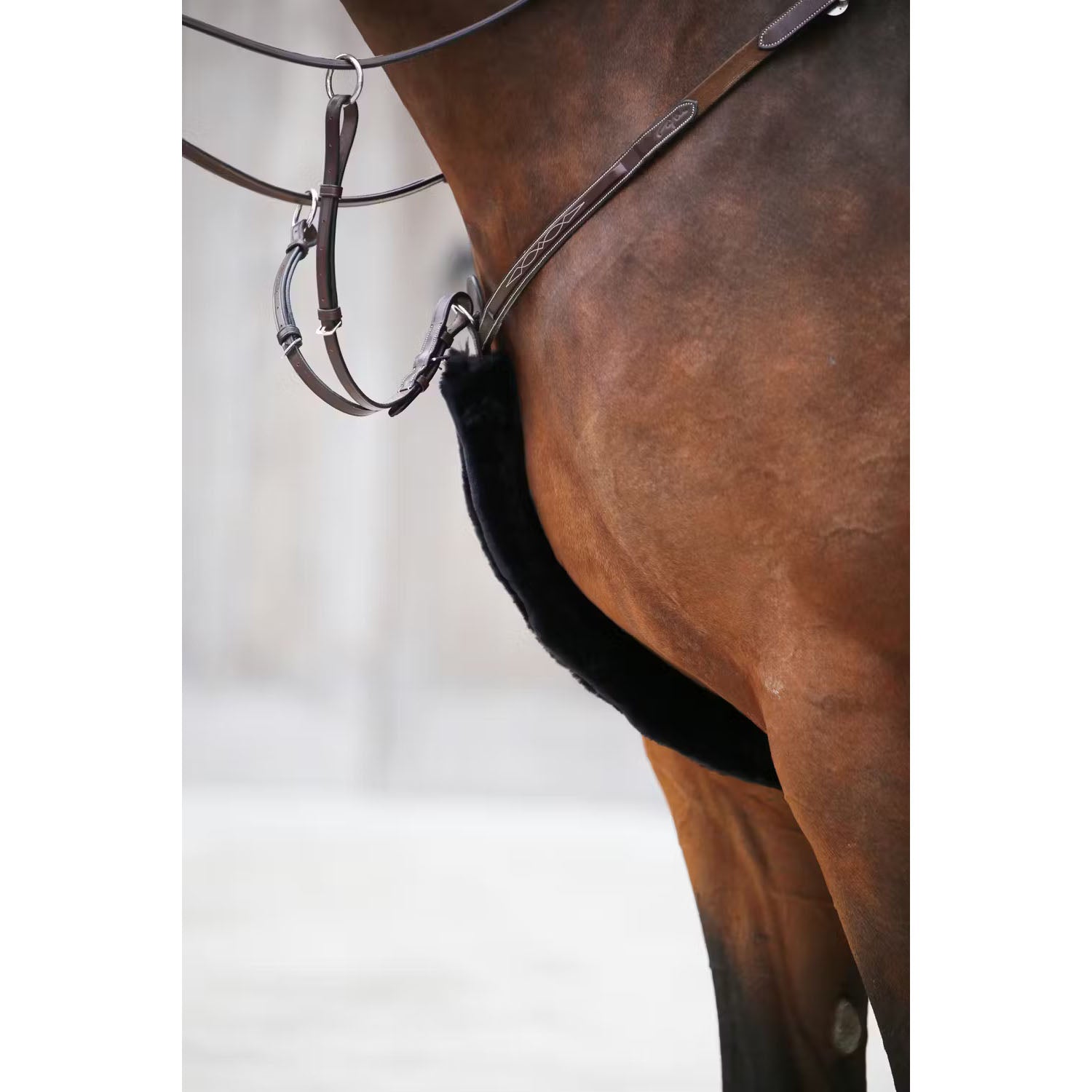 Kentucky Sheepskin Breastplate & Rein cover