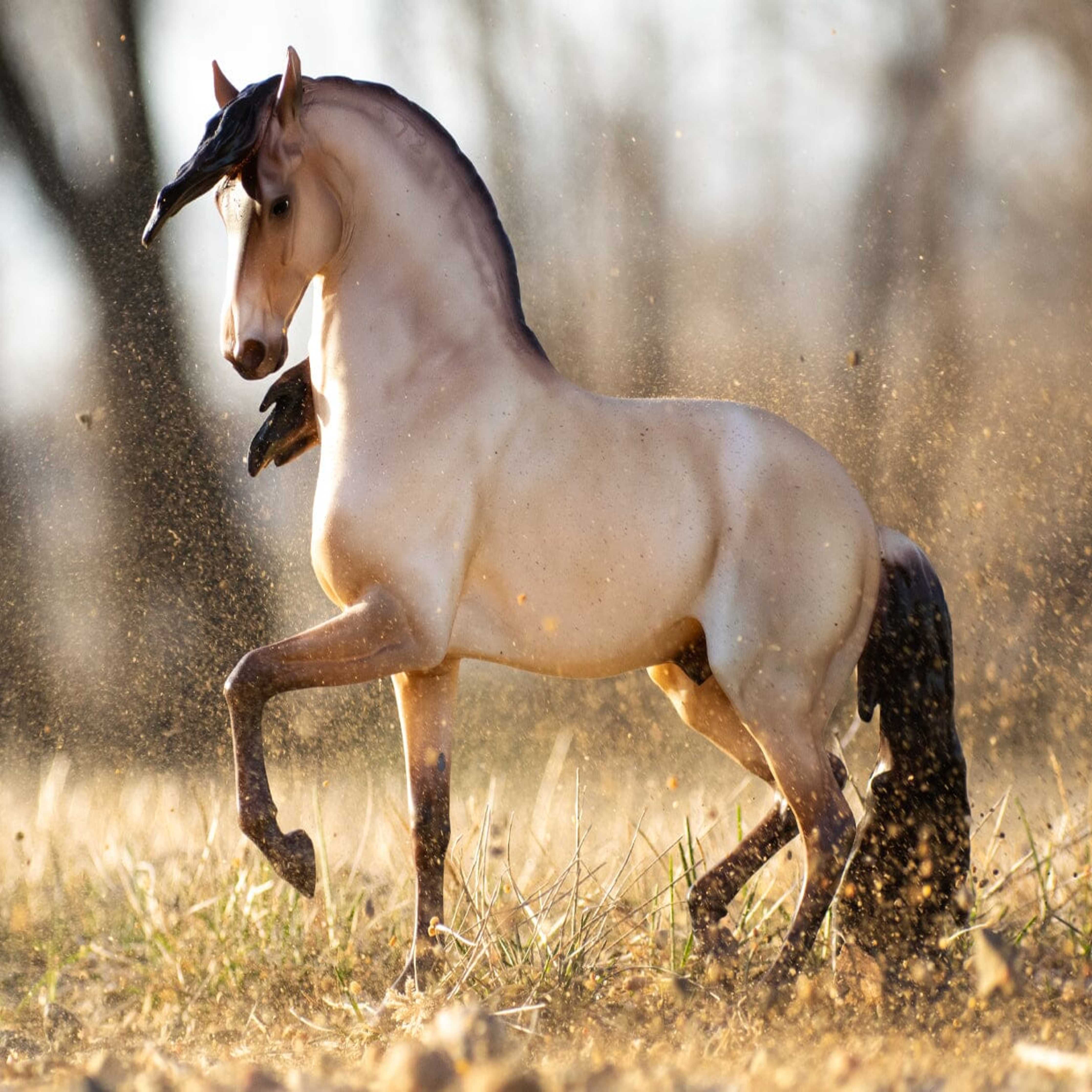 Breyer Cossaco Champion Lusitano