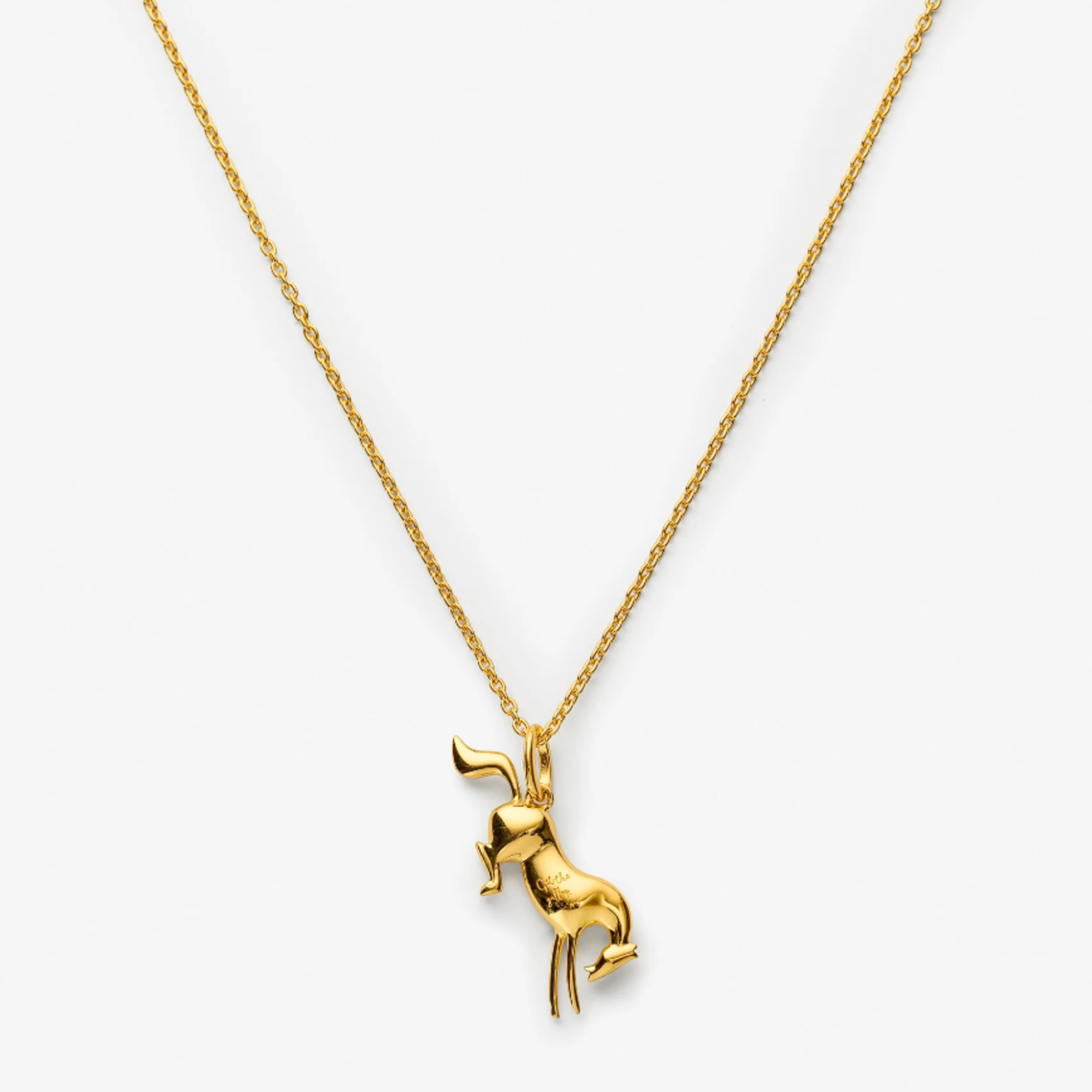 Get the Gallop Bucking Horse Necklace
