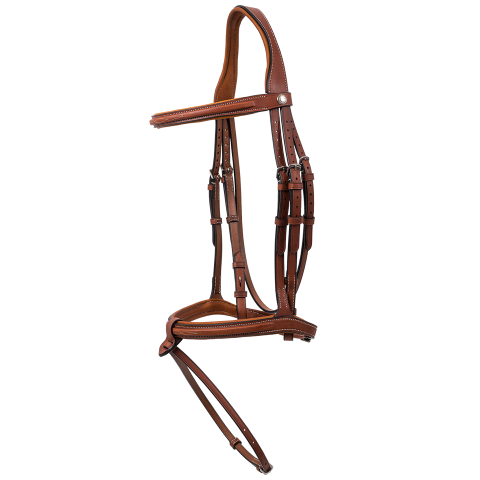 BUTET Sport Combined Bridle w/ Flash