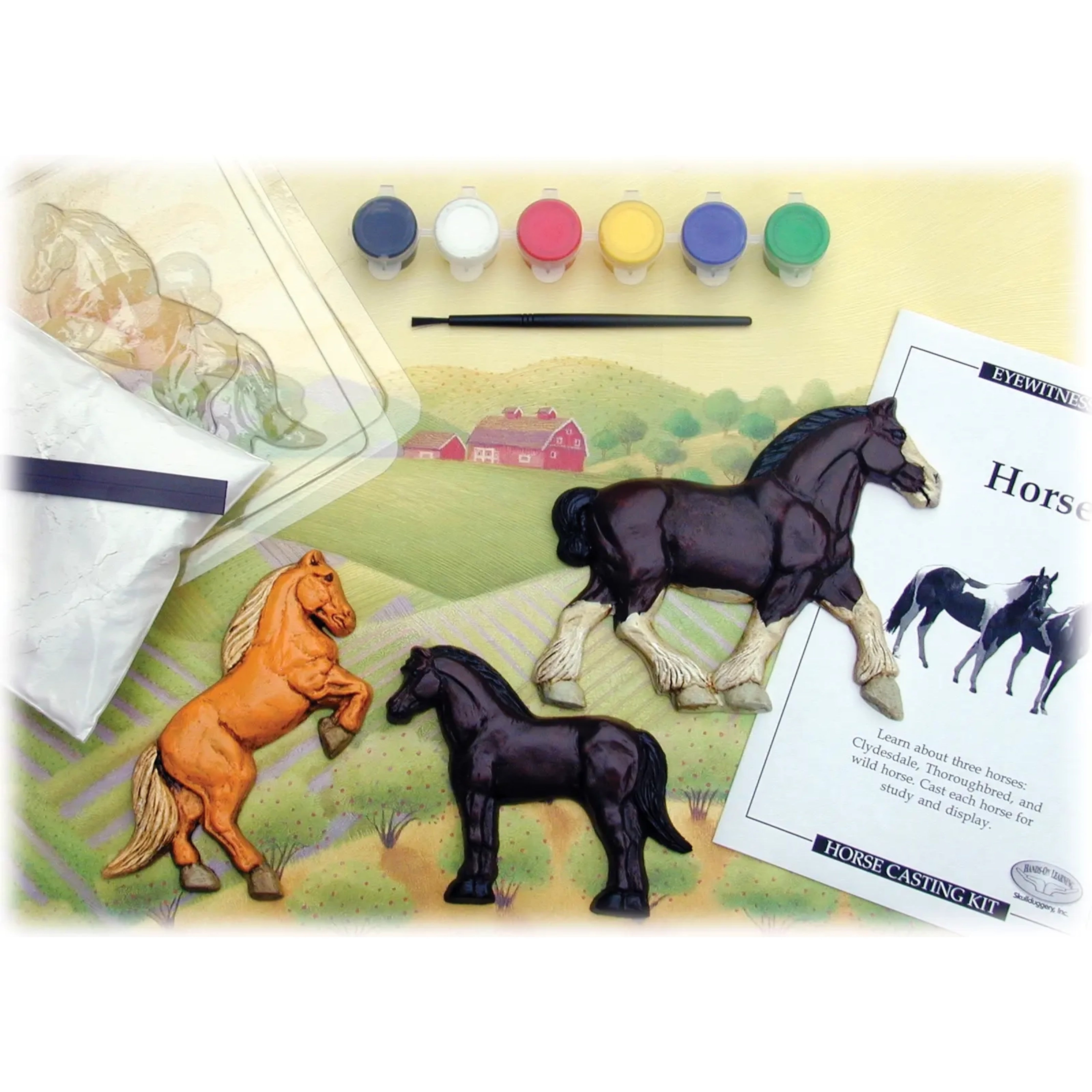 Eyewitness Creativity & Discovery Kits - Horse