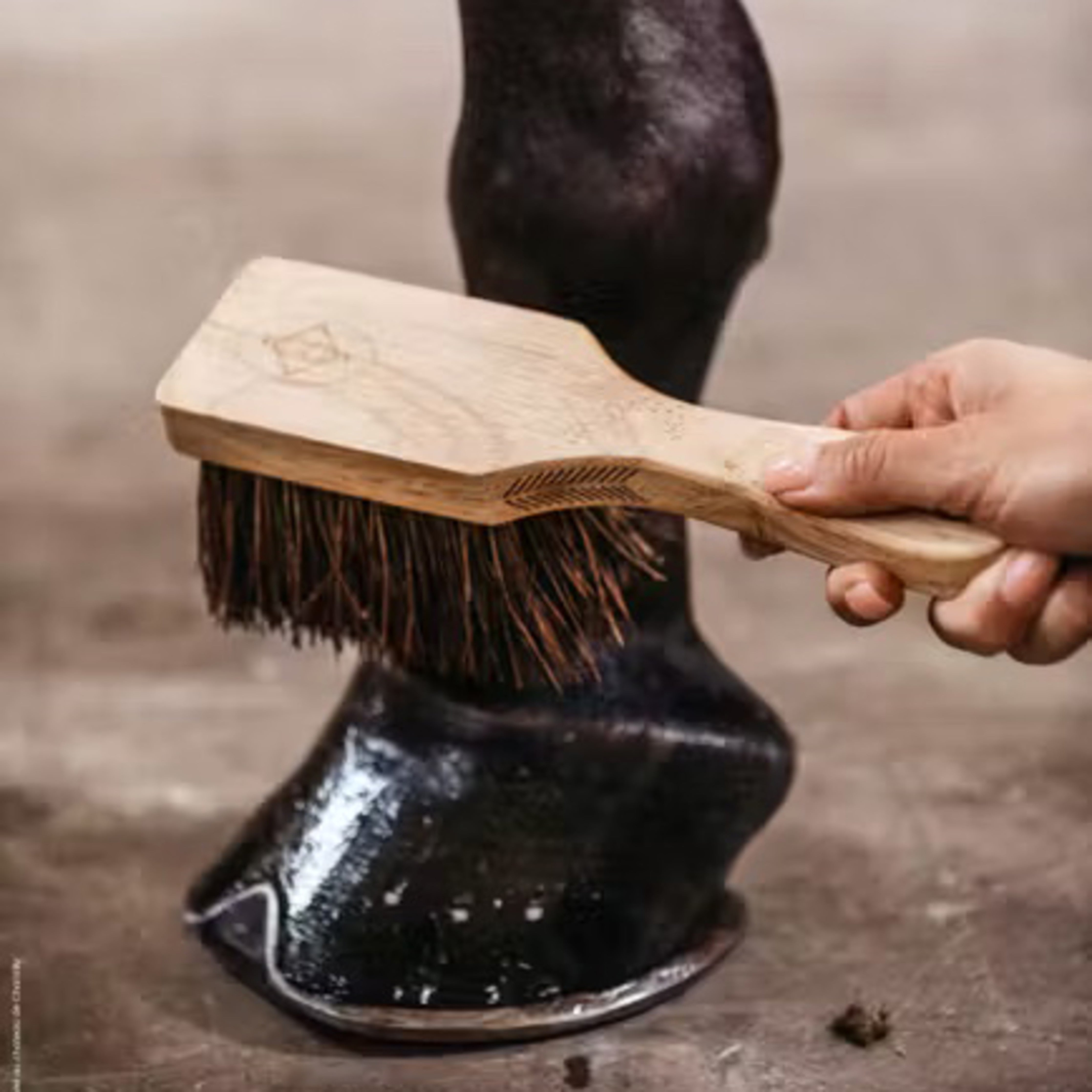 Grooming Deluxe Hoof Brush