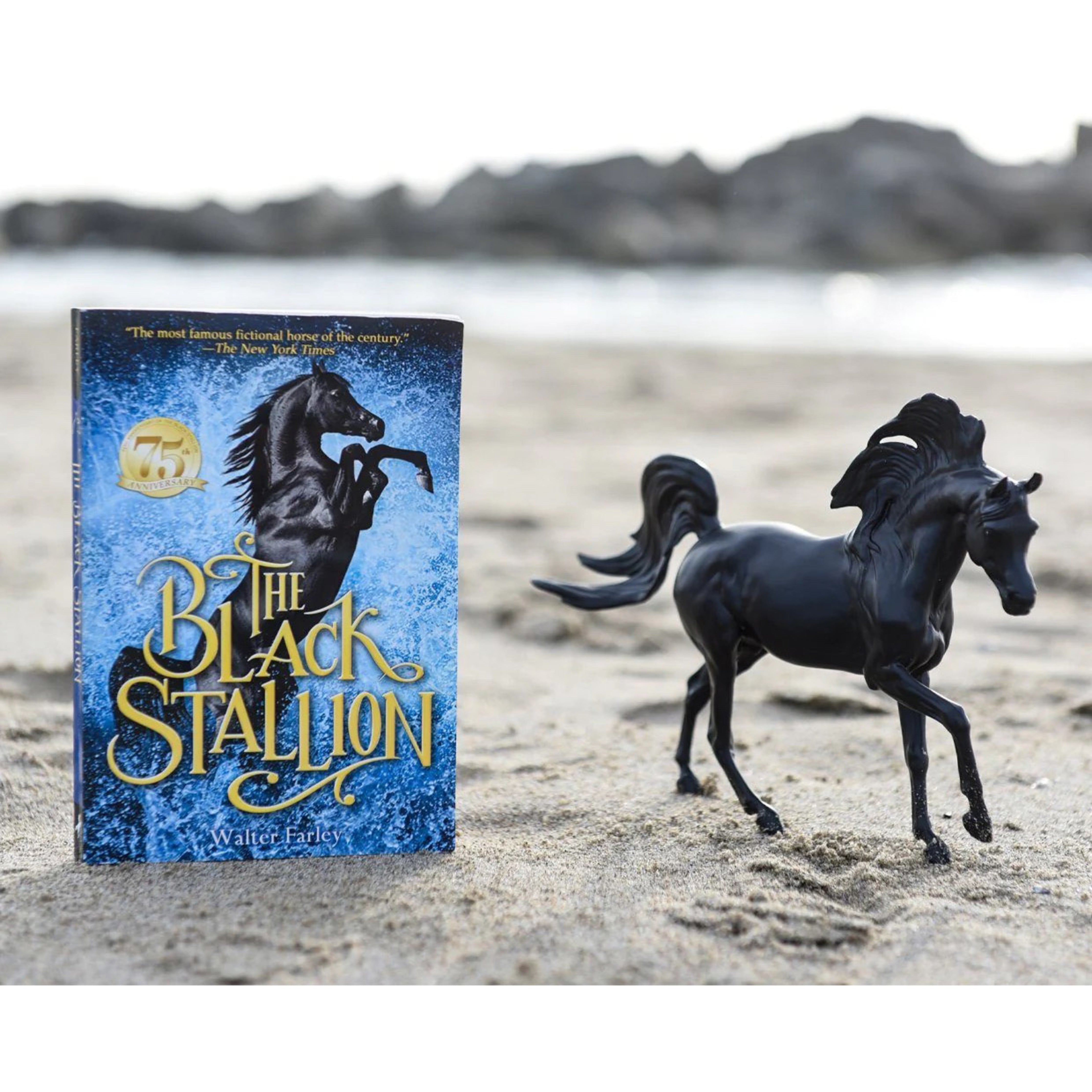 The Black Stallion Horse + Book Set