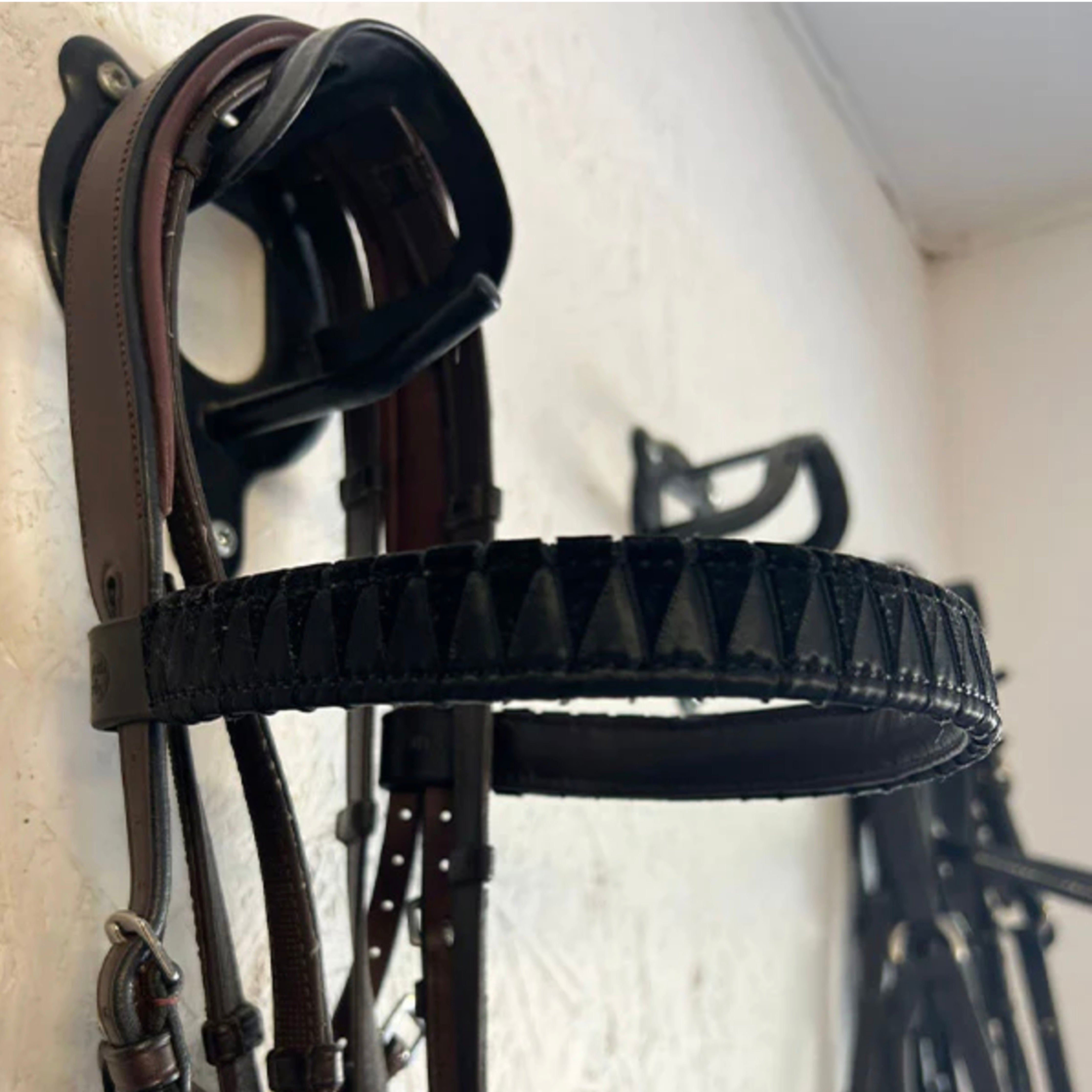 Get the Gallop Sharktooth Browband
