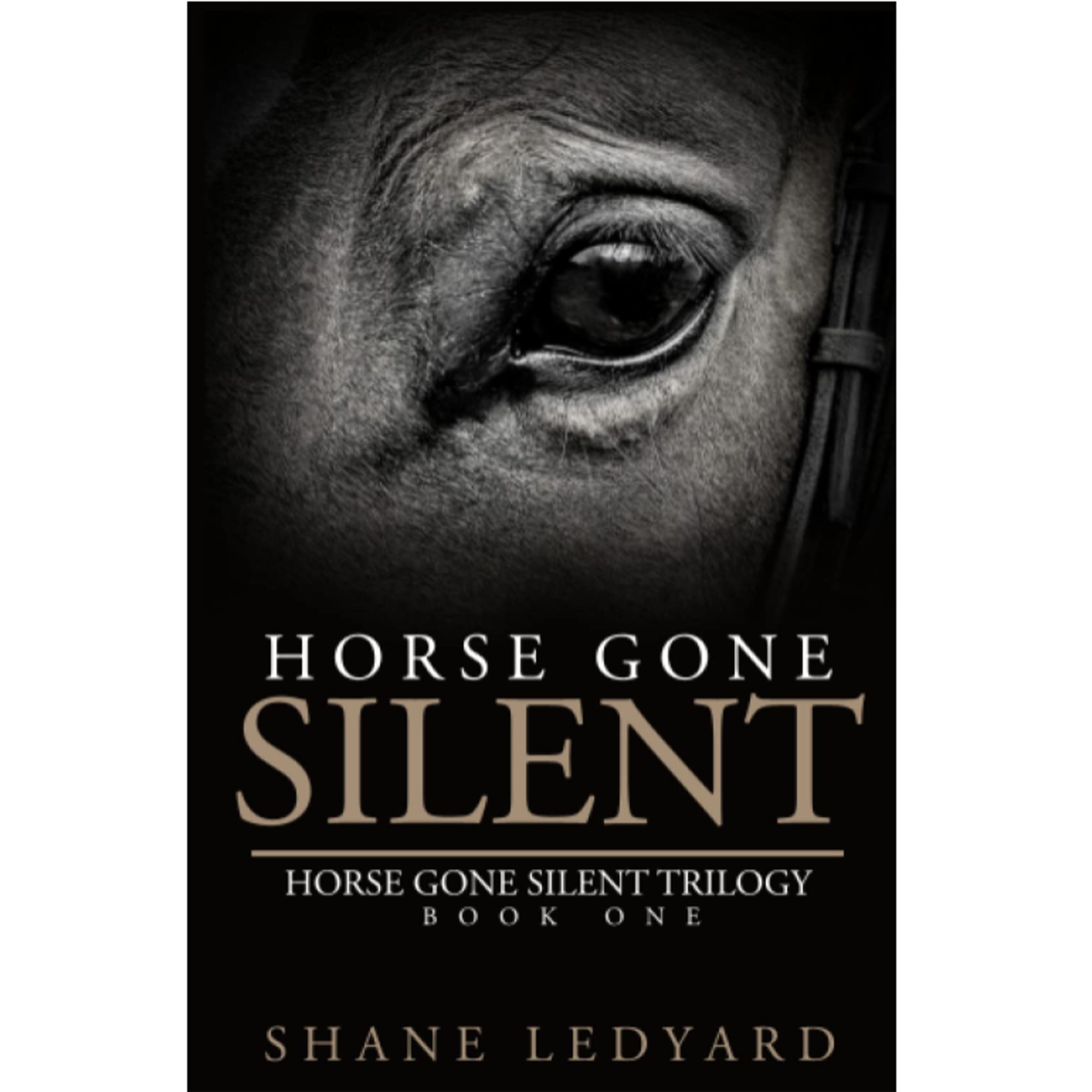 Horse Gone Silent
