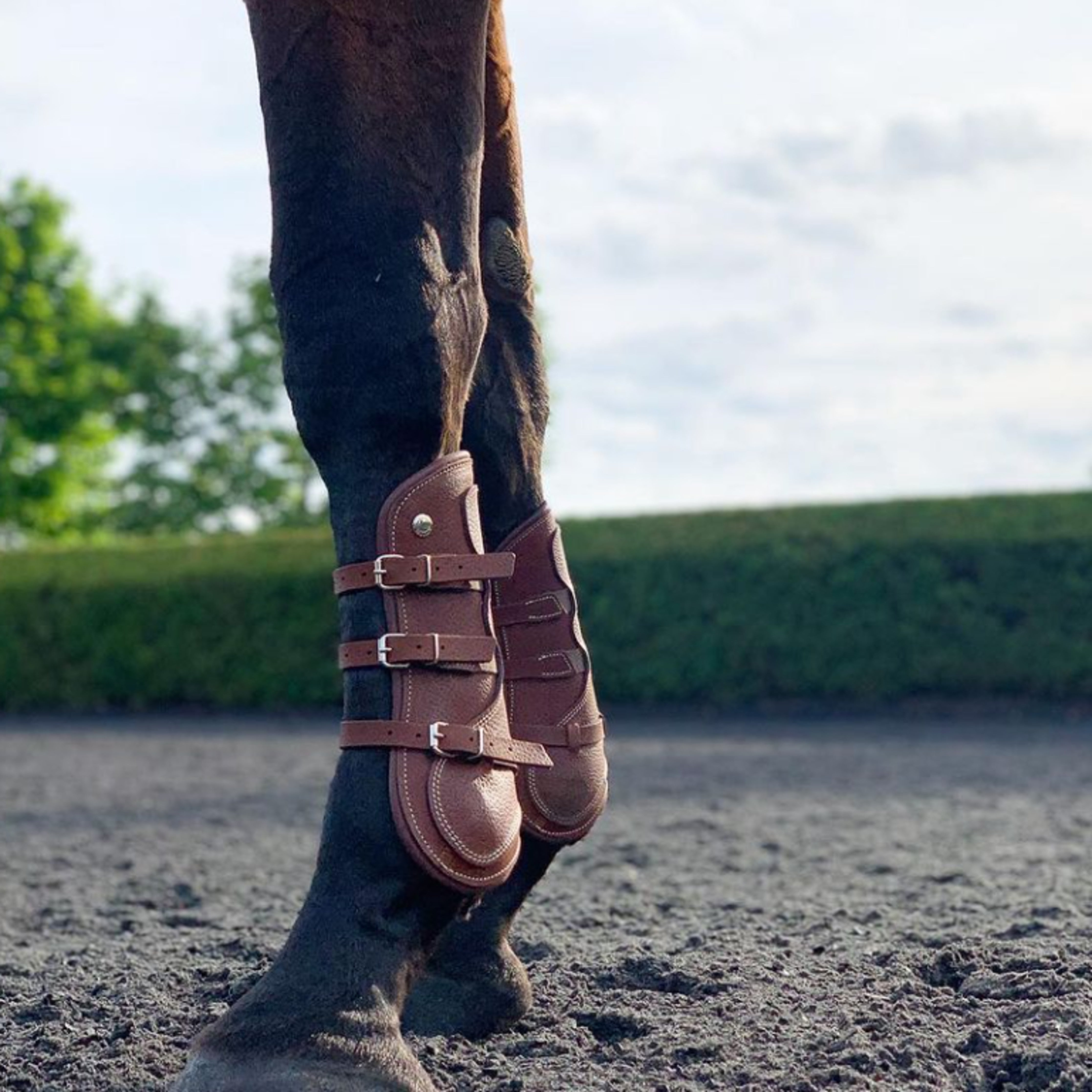 Boots equitation on sale