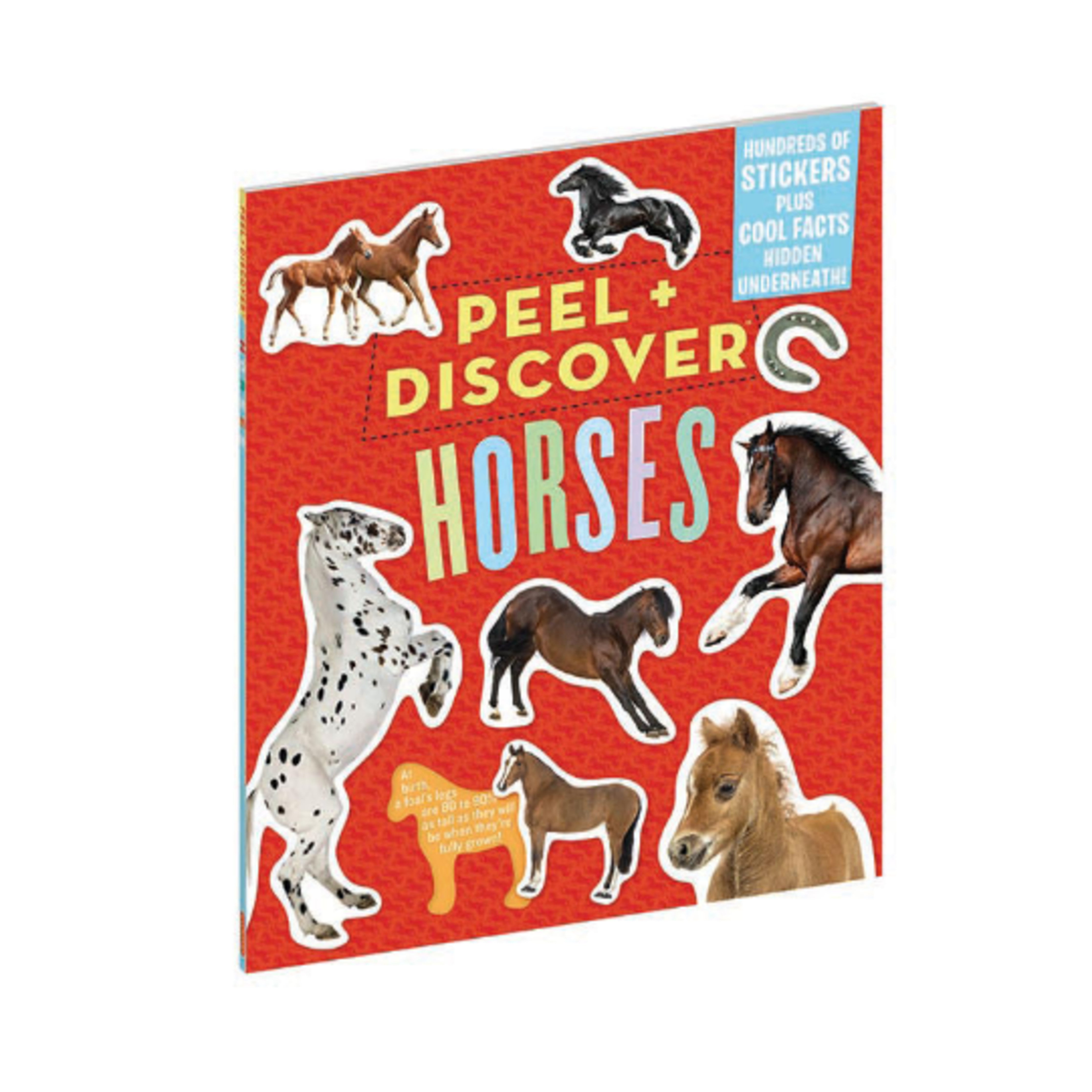 Peel & Discover Horses sticker book