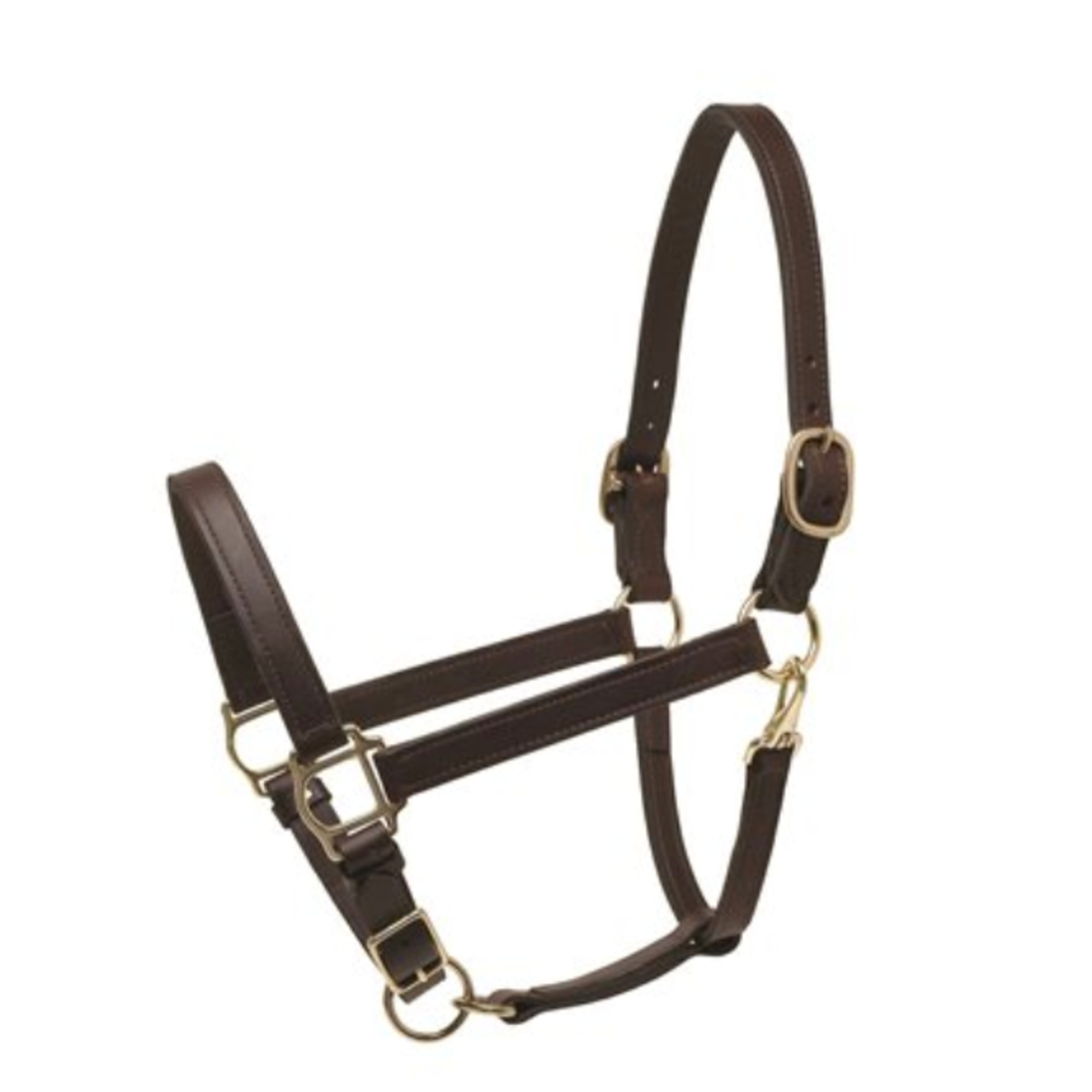 Perris Leather Turnout Halter 1"