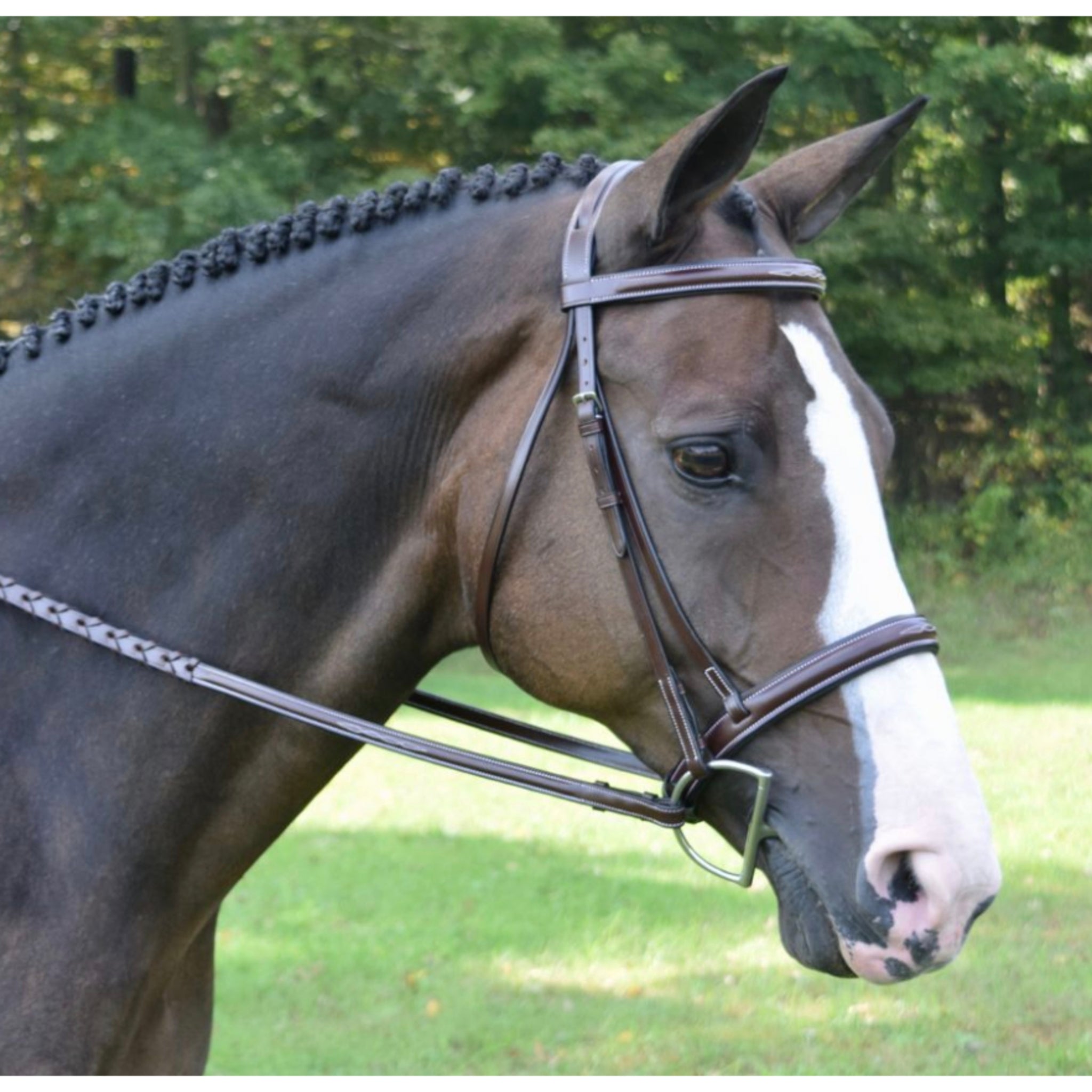 Red Barn Spirit Wide Nose Bridle